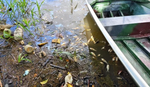 PF, PC e IPAAM apuram crimes ambientais no lago do Puraquequara na Zona Leste de Manaus
