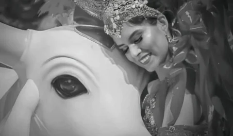 Velório de ex-sinhazinha do Garantido, Djidja Cardoso, será aberto ao público em Manaus