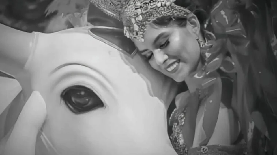 Velório de ex-sinhazinha do Garantido, Djidja Cardoso, será aberto ao público em Manaus