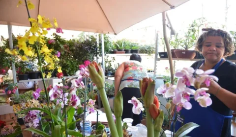 Prazo de entrega da declaração anual do MEI acaba nesta sexta