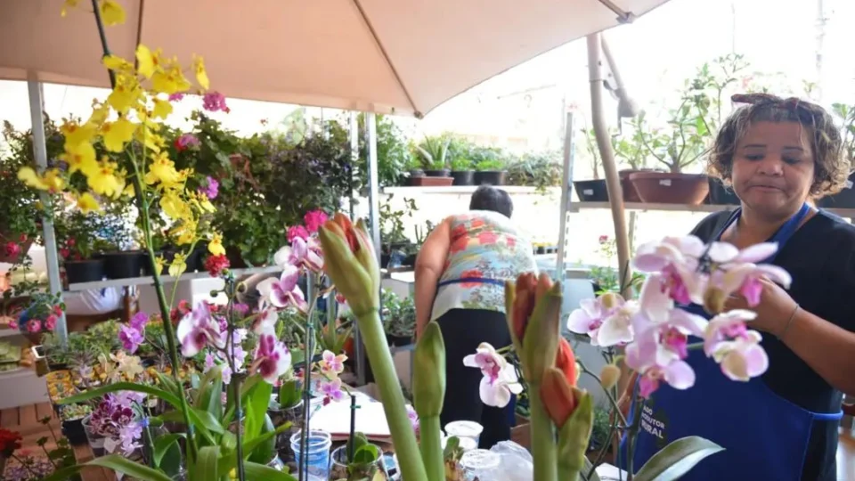 Prazo de entrega da declaração anual do MEI acaba nesta sexta