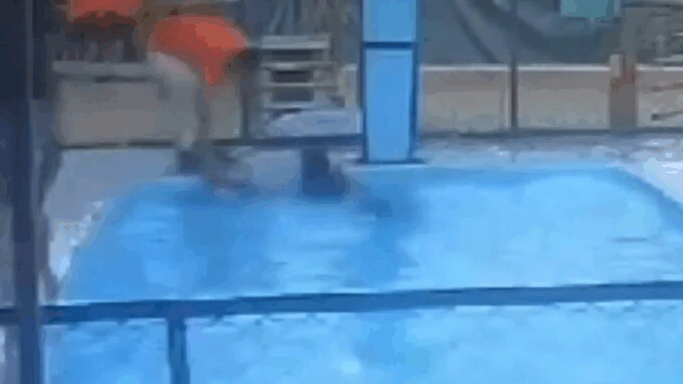 VEJA VÍDEO: mãe tenta afogar várias vezes filha de seis meses em piscina de clube