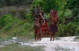 Após repúdio, Lira altera comissão que investigará crise Yanomami