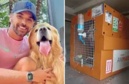 Cão Joca, que morreu em voo da Gol, será cremado neste sábado em SP