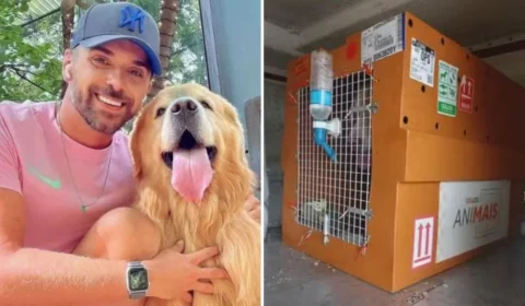 Cão Joca, que morreu em voo da Gol, será cremado neste sábado em SP
