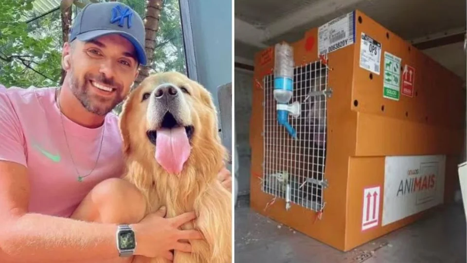 Cão Joca, que morreu em voo da Gol, será cremado neste sábado em SP