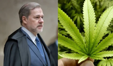 STF decide descriminalizar porte de maconha para uso pessoal