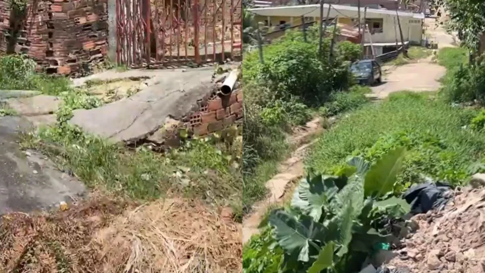 Moradores da rua Palmeira, no bairro Cidade de Deus, denunciam falta de infraestrutura básica