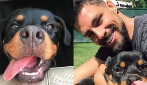 ‘Romeu’, cachorro de Cauã Reymond morre após ser envenenado supostamente com chumbinho