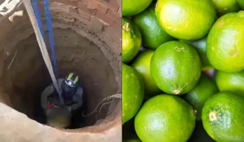 Idoso é resgatado após cair em fossa de 10 metros de profundidade: Veja vídeo