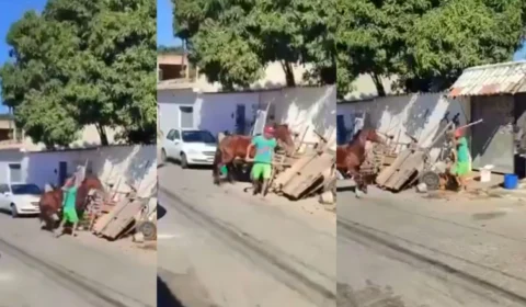 Imagens fortes: cavalo é agredido por carroceiro com enxada no Rio de Janeiro; Veja vídeo
