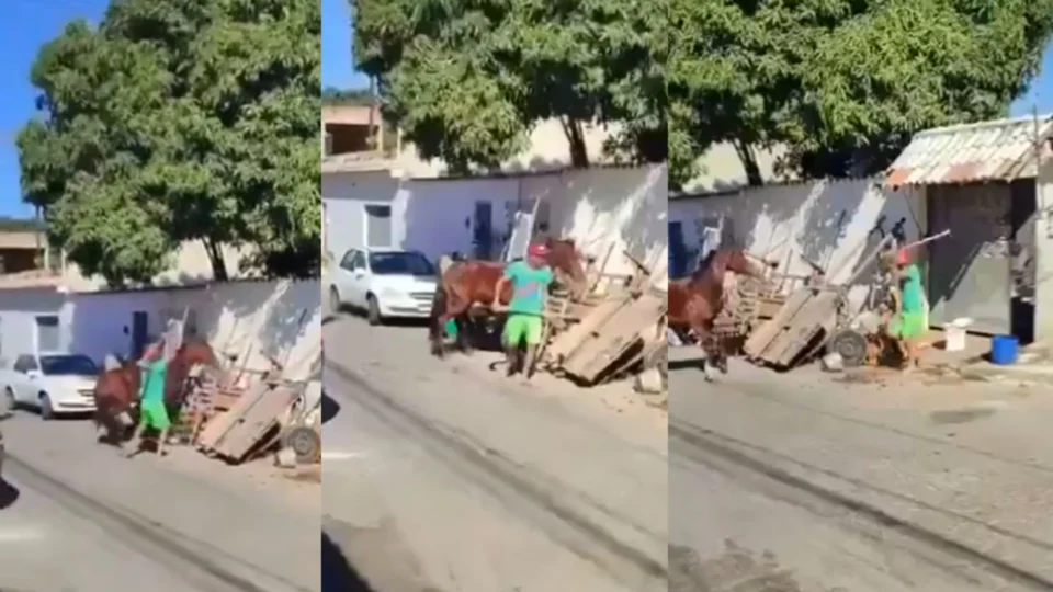 Imagens fortes: cavalo é agredido por carroceiro com enxada no Rio de Janeiro; Veja vídeo