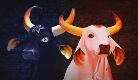 Globo decide cancelar a transmissão do Festival de Parintins