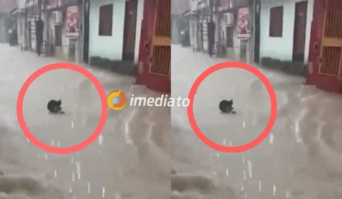 VEJA VÍDEO: homem é arrastado por ‘correnteza’ durante forte chuva em Manaus