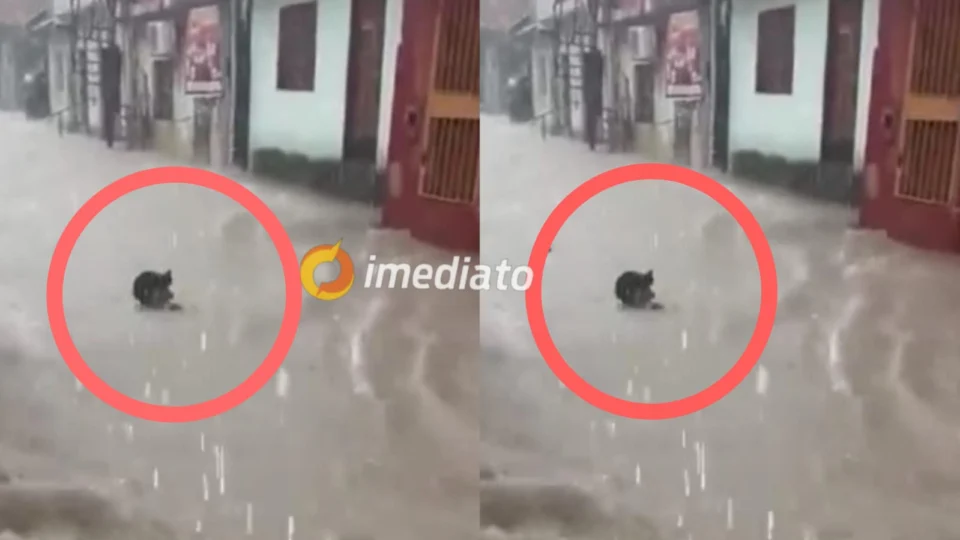 VEJA VÍDEO: homem é arrastado por ‘correnteza’ durante forte chuva em Manaus