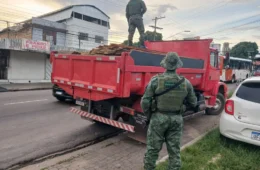 Operação apreende madeira avaliada em R$ 166 mil na zona centro-sul de Manaus