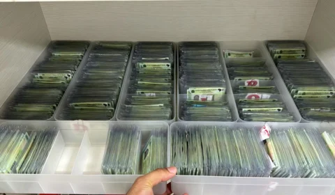 Carteira de Identidade Nacional: falta no agendamento bloqueia novo atendimento