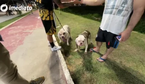 Veja como está o Parque Gigantes da Floresta  na Zona Leste de Manaus