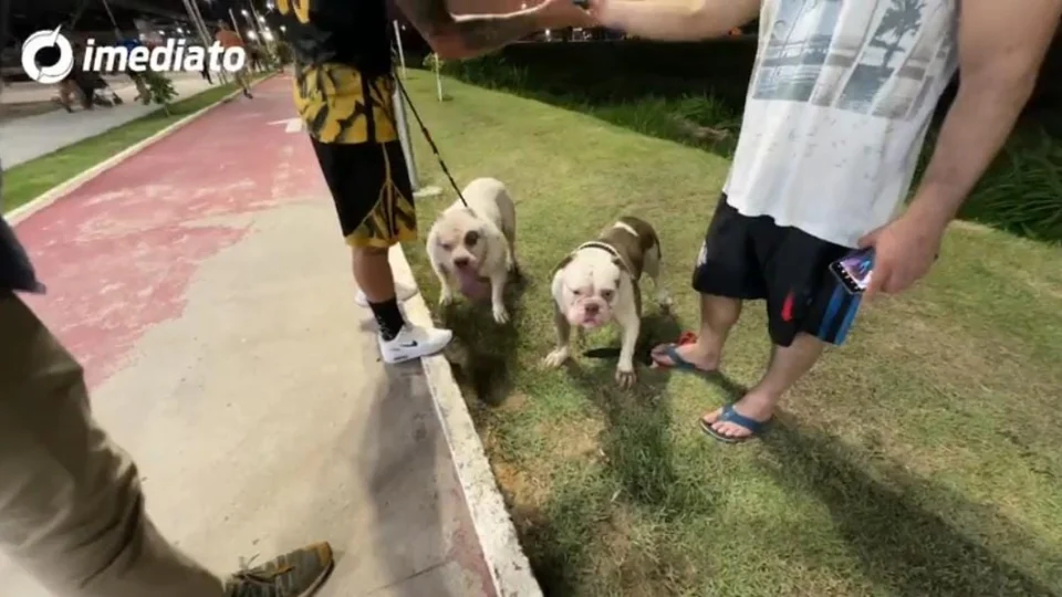 Veja como está o Parque Gigantes da Floresta  na Zona Leste de Manaus