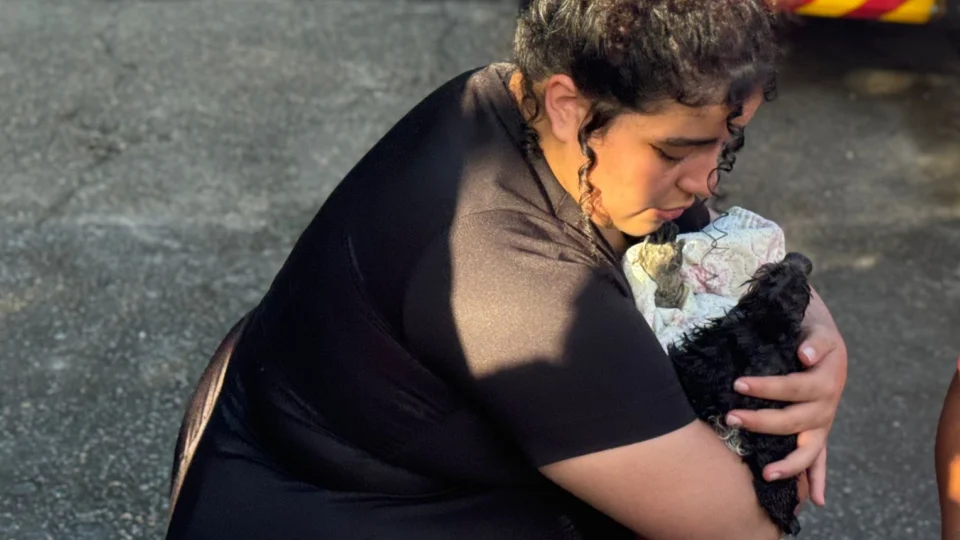 Família sofre acidente  de moto e cachorro cai em bueiro