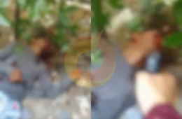 Veja o momento de execução no Valparaíso