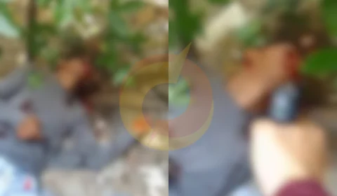 Veja o momento de execução no Valparaíso