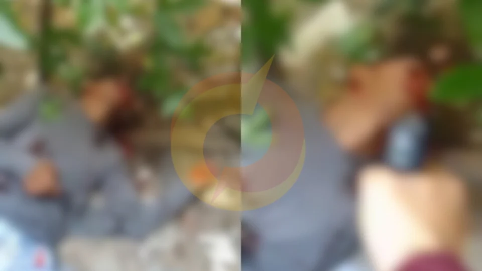 Veja o momento de execução no Valparaíso