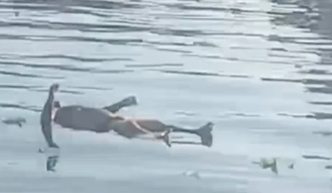 Cadáver é encontrado boiando no rio Negro na manhã deste sábado (29)