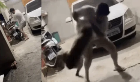 Cenas fortes: homem agride cão mais de 10 vezes e o joga no chão