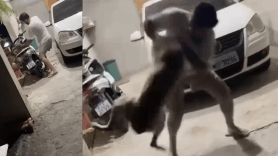 Cenas fortes: homem agride cão mais de 10 vezes e o joga no chão