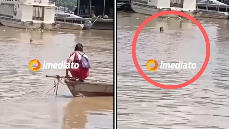 Vídeo: homem morre afogado em rio enquanto grita por socorro no Amazonas