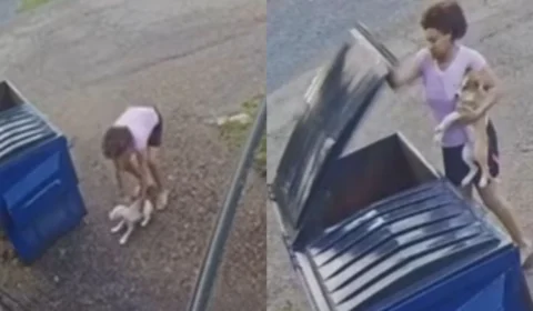 Câmera flagra mulher jogando filhotes de cachorro em lixeira