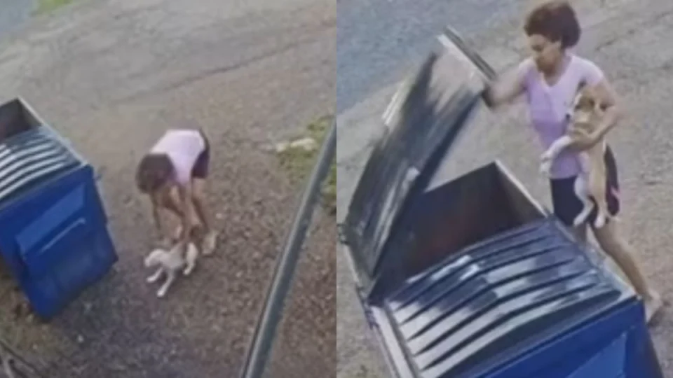 Câmera flagra mulher jogando filhotes de cachorro em lixeira