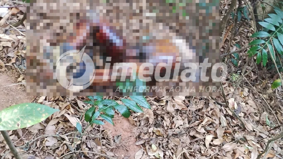 VÍDEO: corpo de homem em decomposição é encontrado dentro de estaleiro no Santo Antônio