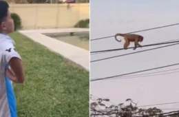 Criança argentina chamando macaco de Vini Jr causa espanto