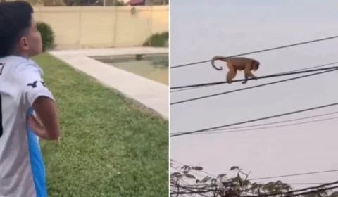 Criança argentina chamando macaco de Vini Jr causa espanto