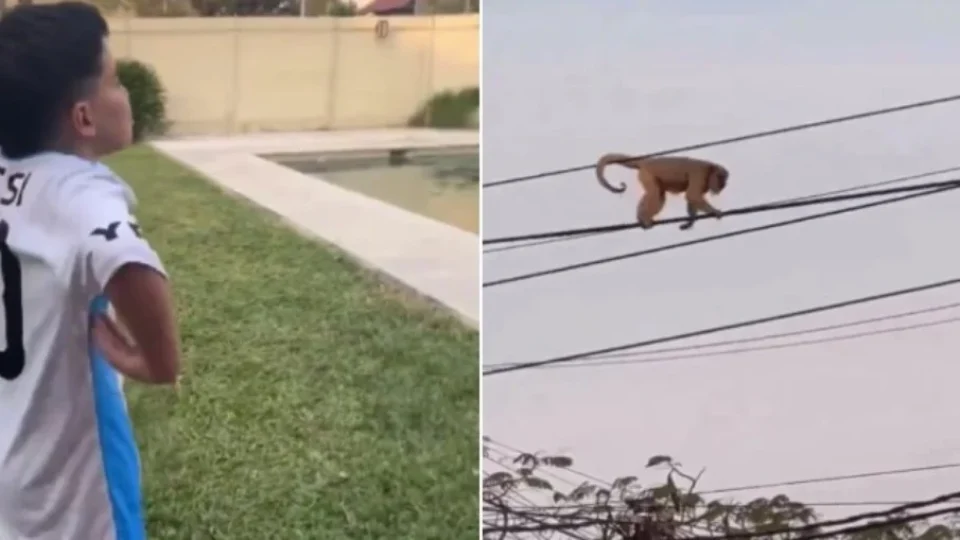 Criança argentina chamando macaco de Vini Jr causa espanto
