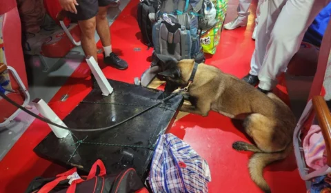 Droga camuflada em tampa de mesa é apreendida e suspeito preso no Amazonas