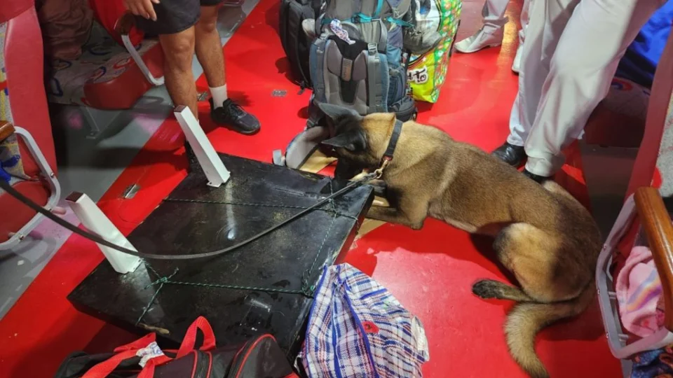 Droga camuflada em tampa de mesa é apreendida e suspeito preso no Amazonas