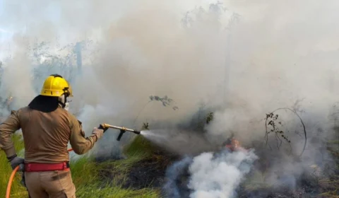Incêndio atinge área de vegetação nas proximidades do aeroporto de Manicoré