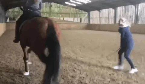 Campeã de hipismo está fora de Paris por maus-tratos a cavalo; Vídeo