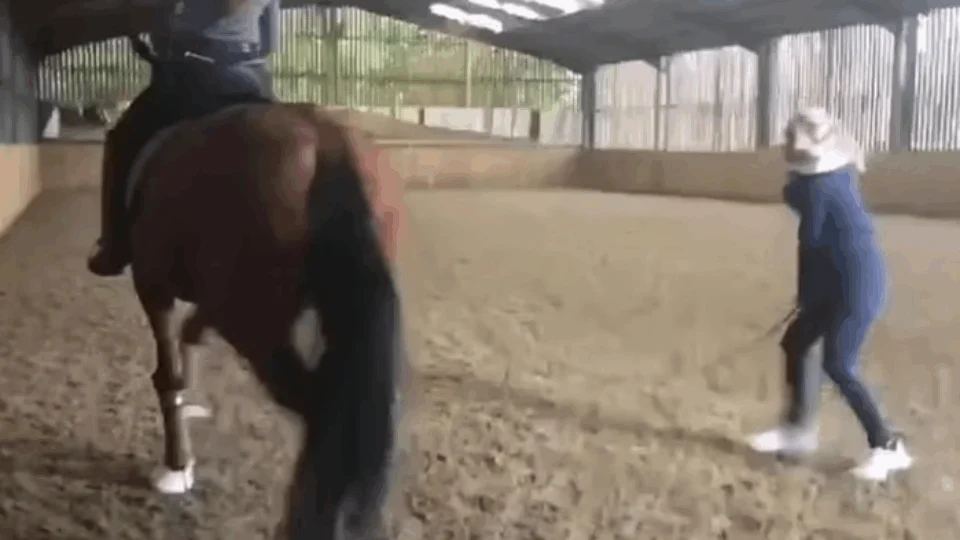 Campeã de hipismo está fora de Paris por maus-tratos a cavalo; Vídeo