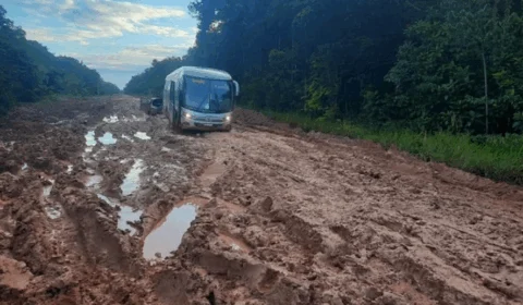 Decisão judicial suspende licença para asfaltamento da BR-319