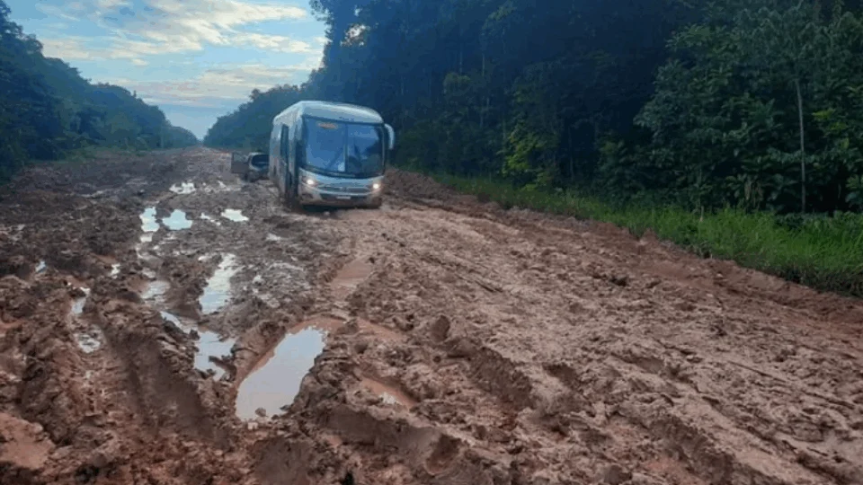 Decisão judicial suspende licença para asfaltamento da BR-319