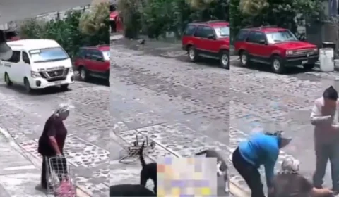 Idosa sofre ataque de cães enquanto andava na rua; Veja o vídeo
