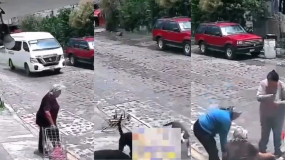 Idosa sofre ataque de cães enquanto andava na rua; Veja o vídeo