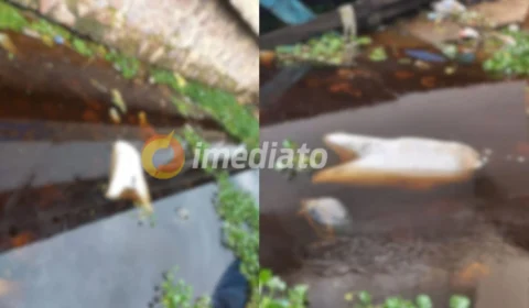 Corpo dentro de saco é encontrado boiando atrás de fábrica no Presidente Vargas