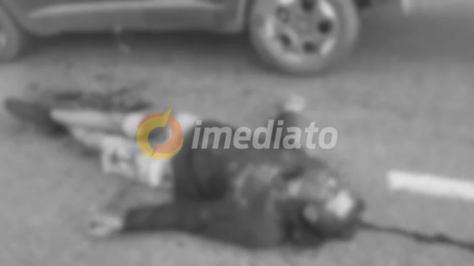 Suspeito morre em tentativa de assalto na Avenida Brasil- RJ; Imagens fortes