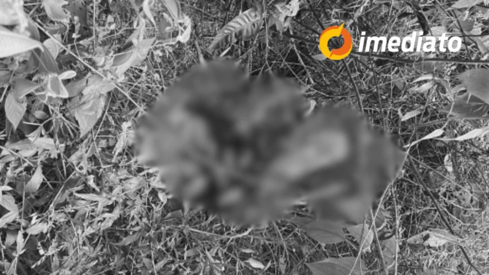 Pernas humanas são encontradas em saco de lixo após crime suspeito em Manaus; Imagens fortes