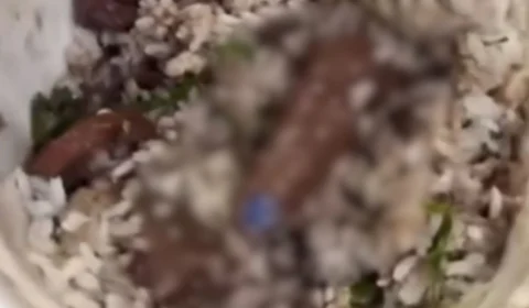 Vídeo: Homem é surpreendido por dedo com unha pintada em marmita de feijoada